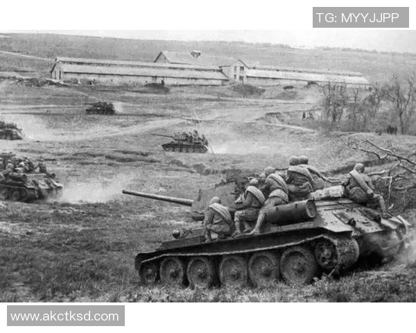 南京排球队战术解析：从进攻到防守的全面剖析与实践探讨